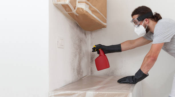 Professional Crawl Space Mold Removal technician working in Neshanic Station, NJ